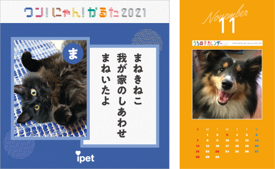 かるた、カレンダーの写真投稿企画での寄付活動