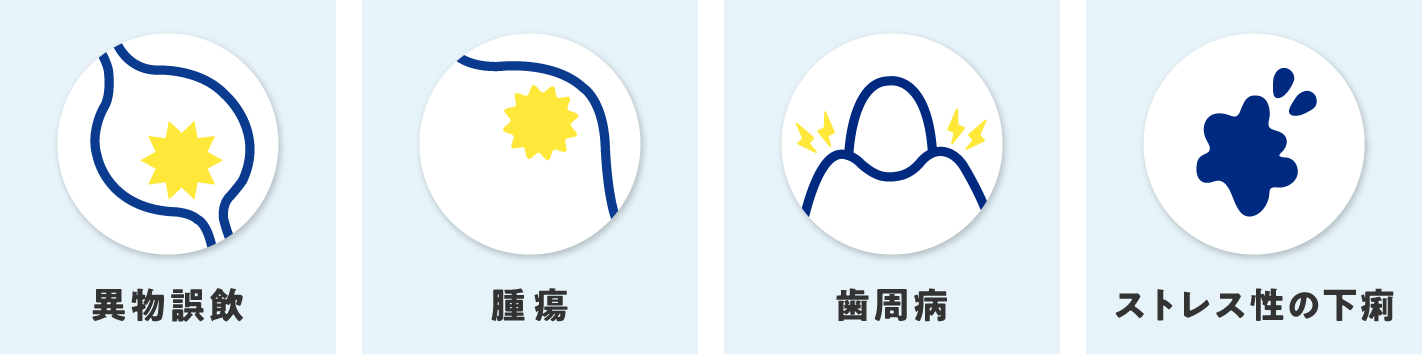 歯周病や下痢、異物誤飲、腫瘍を補償