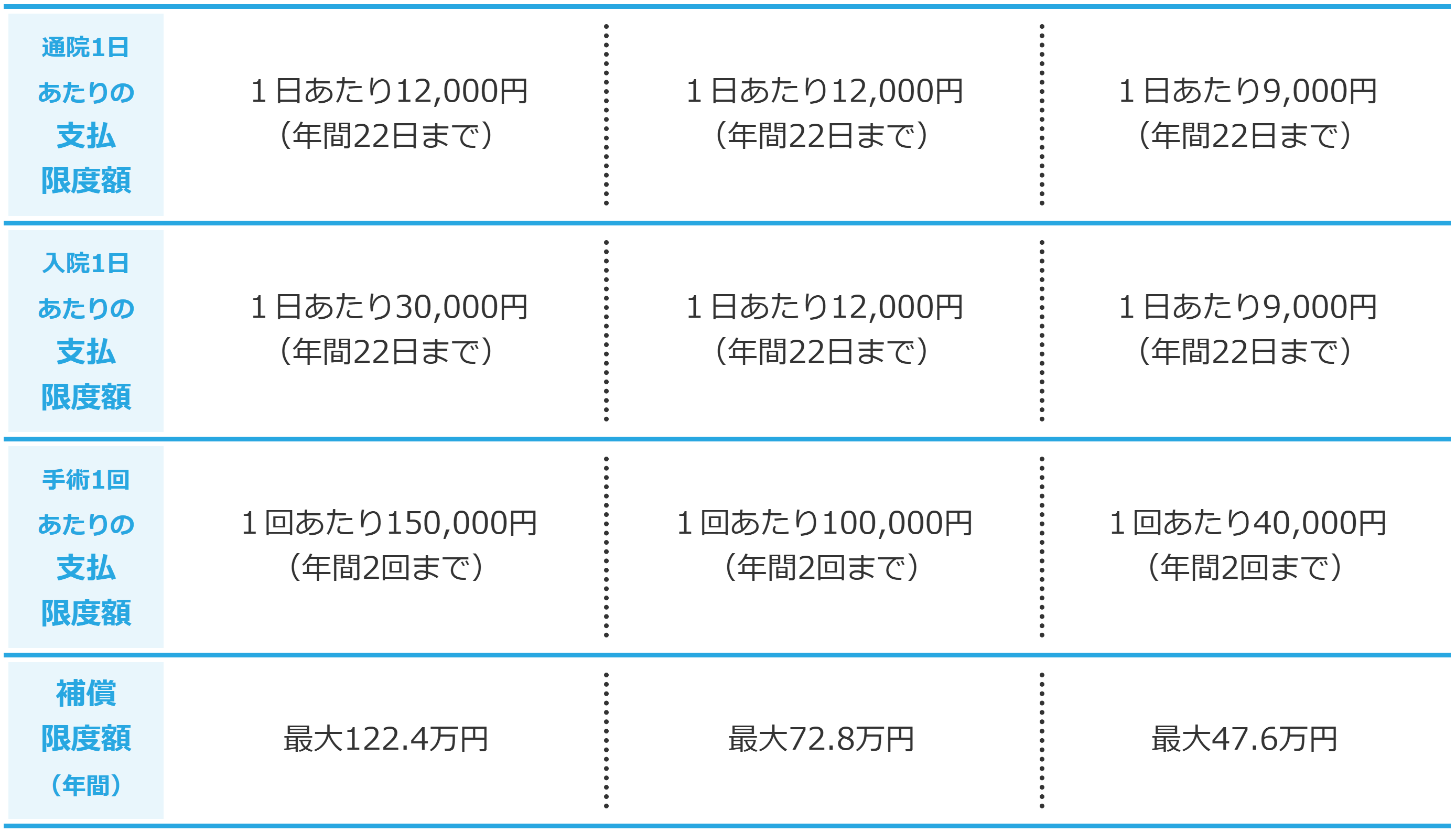 【うちの子】支払限度額・限度日数（回数）.png