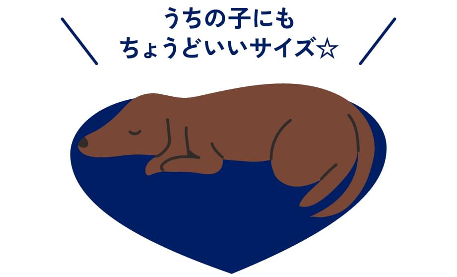 うちの子にもちょうどいいサイズ