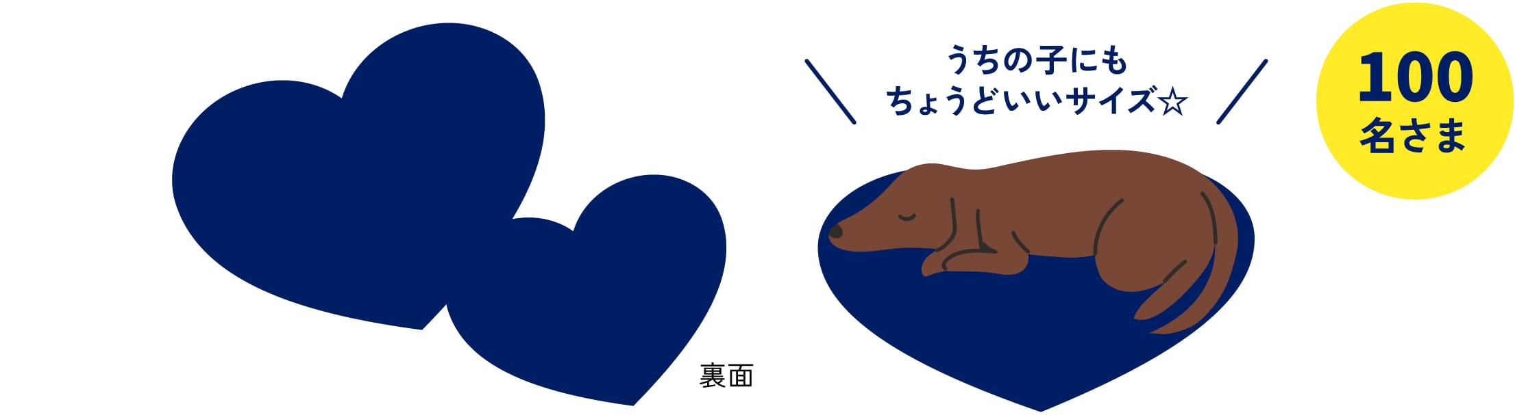 100名さま うちの子にもちょうどいいサイズ