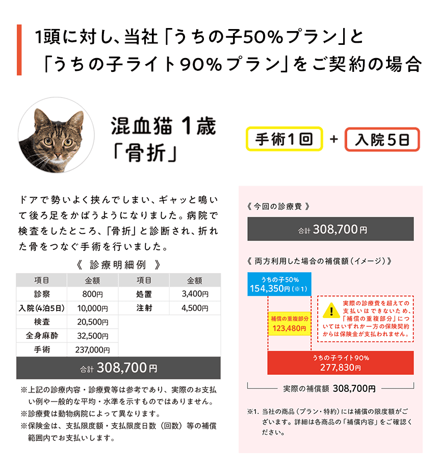 複数加入