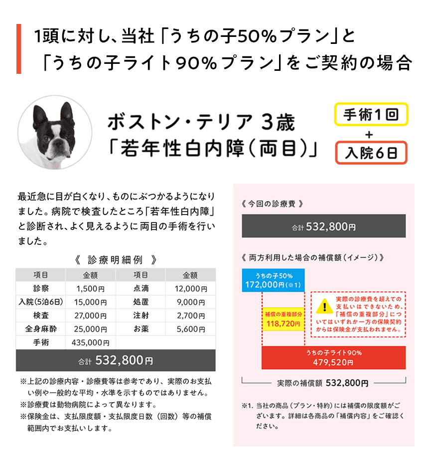 複数加入