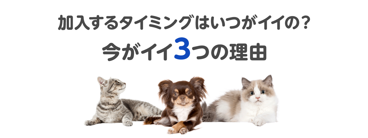 加入するタイミングはいつがイイの？ 今がイイ3つの理由