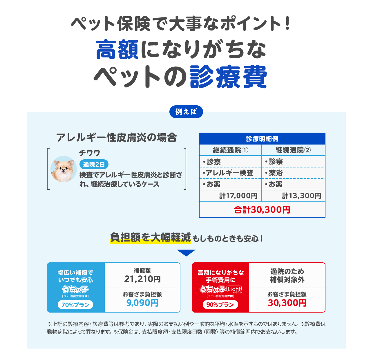 ペット保険で大事なポイント 高額になりがちなペットの診療費 犬