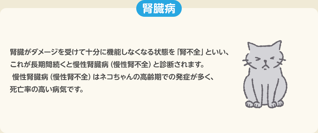 腎臓病
