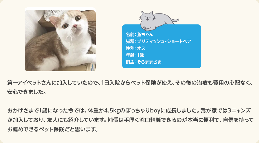 猫のお客さまの声 ムギちゃん