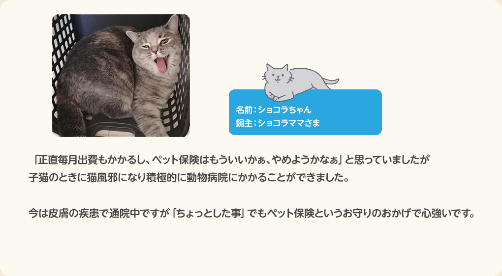 猫のお客さまの声