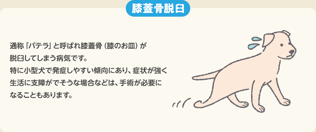 膝蓋骨脱臼