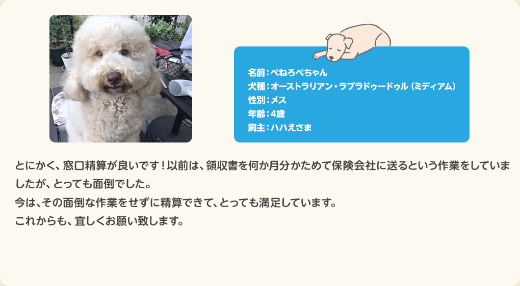 犬のお客さまの声 ぺねろぺちゃん