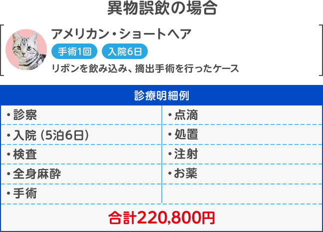 異物誤飲の場合 合計220,800円