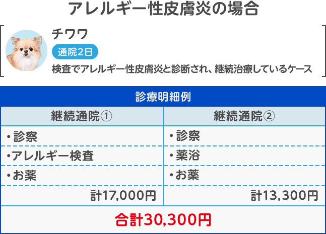 アレルギー性皮膚炎の場合 合計30,300円