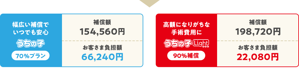幅広い補償でいつでも安心 うちの子 70%プラン 補償額154,560円 お客さま負担額66,240円 高額になりがちな手術費用に うちの子ライト 90%補償 補償額198,720円 お客さま負担額22,080円