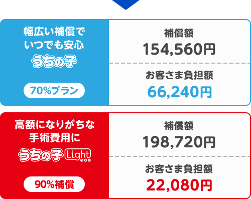 幅広い補償でいつでも安心 うちの子 70%プラン 補償額154,560円 お客さま負担額66,240円 高額になりがちな手術費用に うちの子ライト 90%補償 補償額198,720円 お客さま負担額22,080円