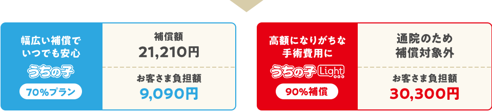 幅広い補償でいつでも安心 うちの子 70%プラン 補償額21,210円 お客さま負担額9,090円 高額になりがちな手術費用に うちの子ライト 90%補償 通院のため補償対象外 お客さま負担額30,300円