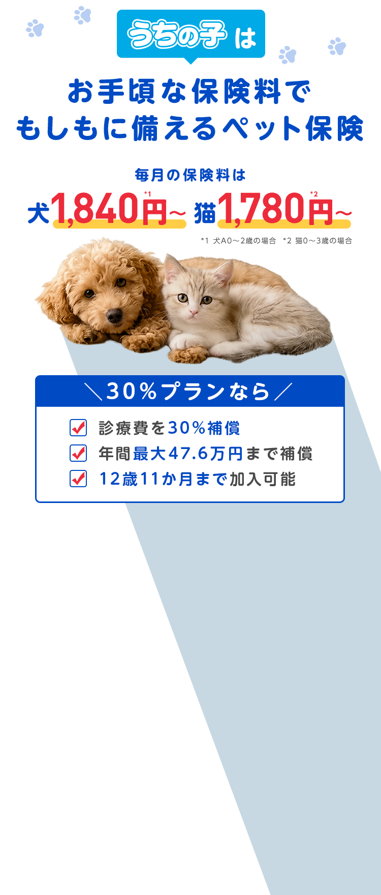 「うちの子」はお手頃な保険料でもしもに備えるペット保険