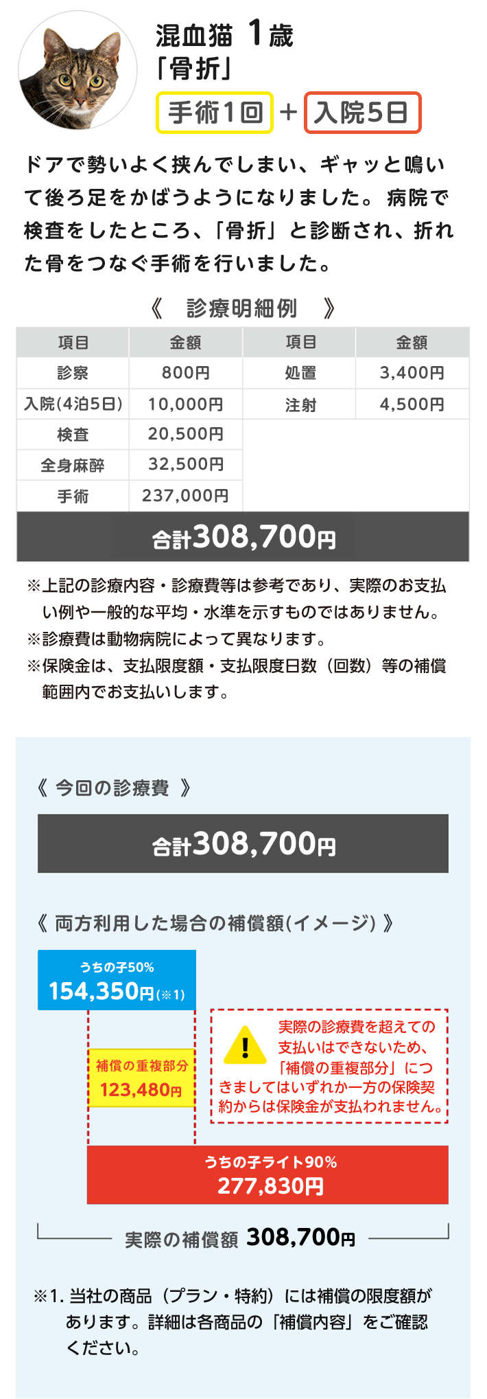 混血猫1歳「骨折」の診療費の支払いイメージ
