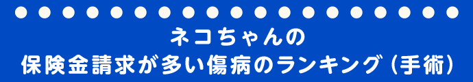 ネコちゃんの保険金請求が多い傷病のランキング（手術）