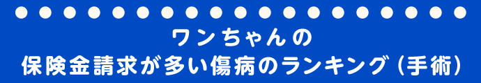 ワンちゃんの保険金請求が多い傷病のランキング（手術）