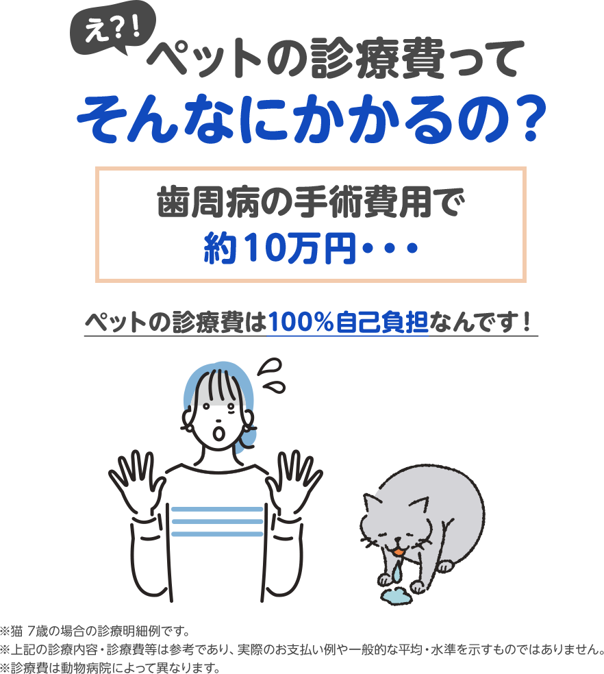 えっ！？ペットの診療費ってそんなにかかるの？歯周病の手術費用で約10万円…