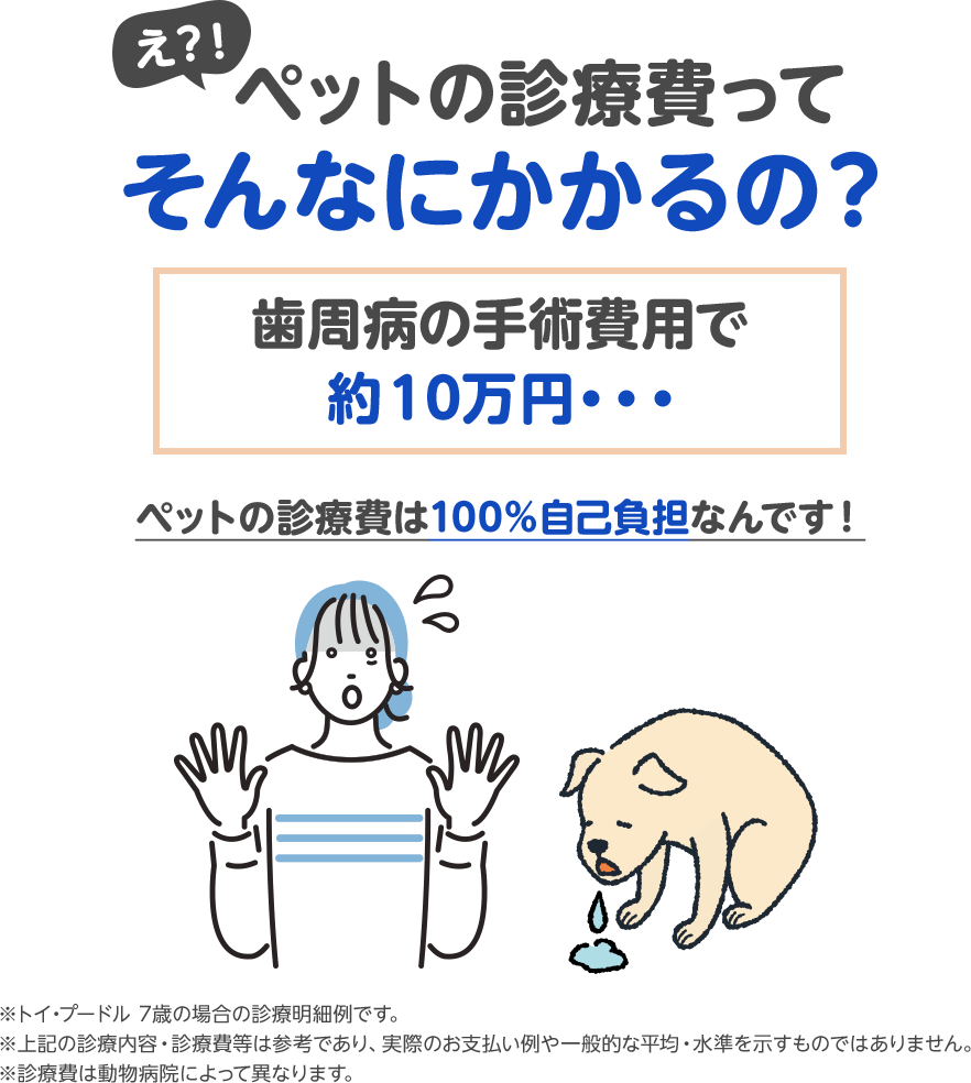 えっ！？ペットの診療費ってそんなにかかるの？歯周病の手術費用で約10万円…