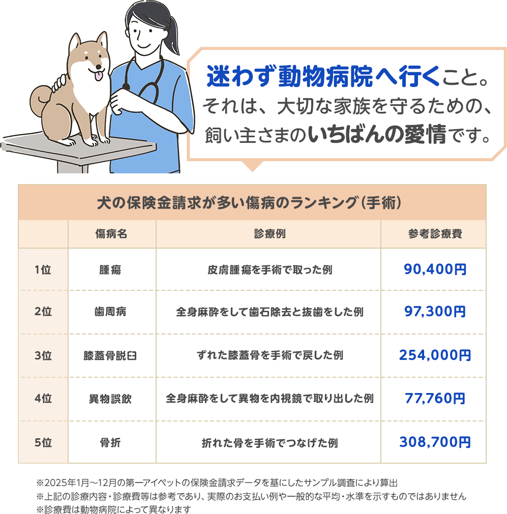 迷わず動物病院へ行くこと。それは、大切な家族を守るための、飼い主さまのいちばんの愛情です。