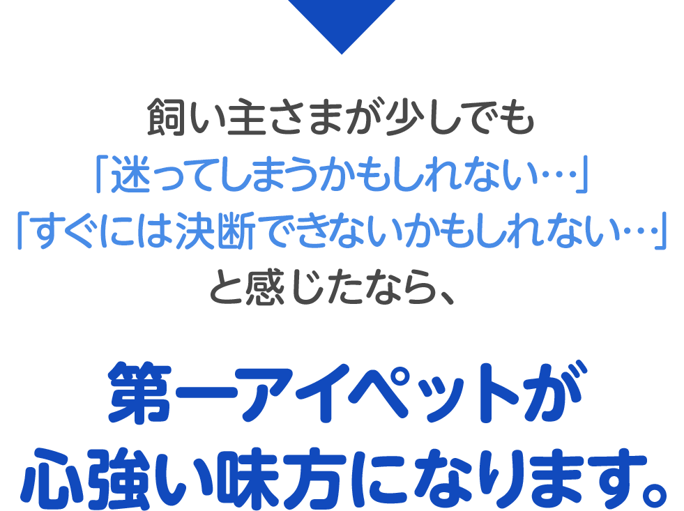 第一アイペットが心強い味方になります。