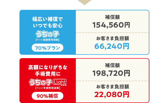 幅広い補償でいつでも安心 うちの子 70%プラン 補償額154,560円 お客さま負担額66,240円 高額になりがちな手術費用に うちの子ライト 90%補償 補償額198,720円 お客さま負担額22,080円