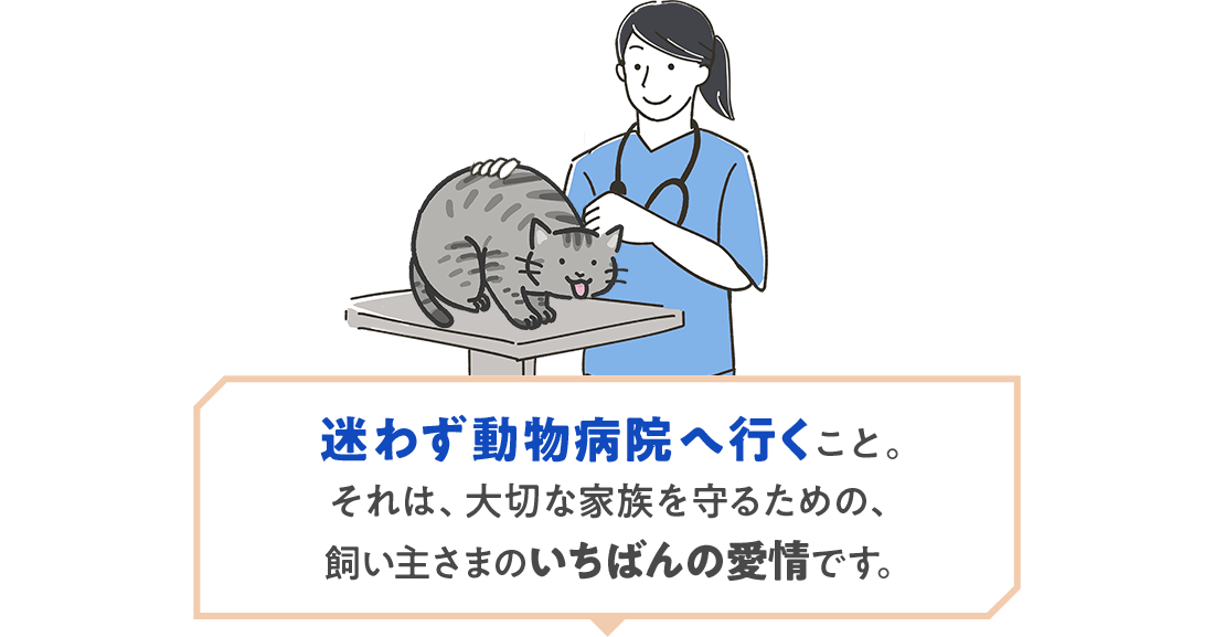 迷わず動物病院へ行くこと。それは、大切な家族を守るための、飼い主さまのいちばんの愛情です。