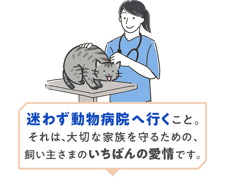 迷わず動物病院へ行くこと。それは、大切な家族を守るための、飼い主さまのいちばんの愛情です。