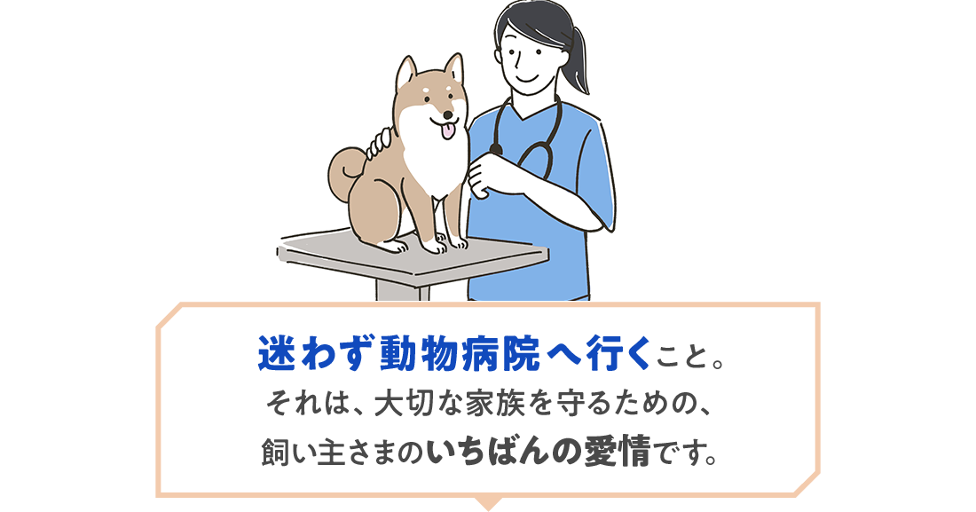 迷わず動物病院へ行くこと。それは、大切な家族を守るための、飼い主さまのいちばんの愛情です。
