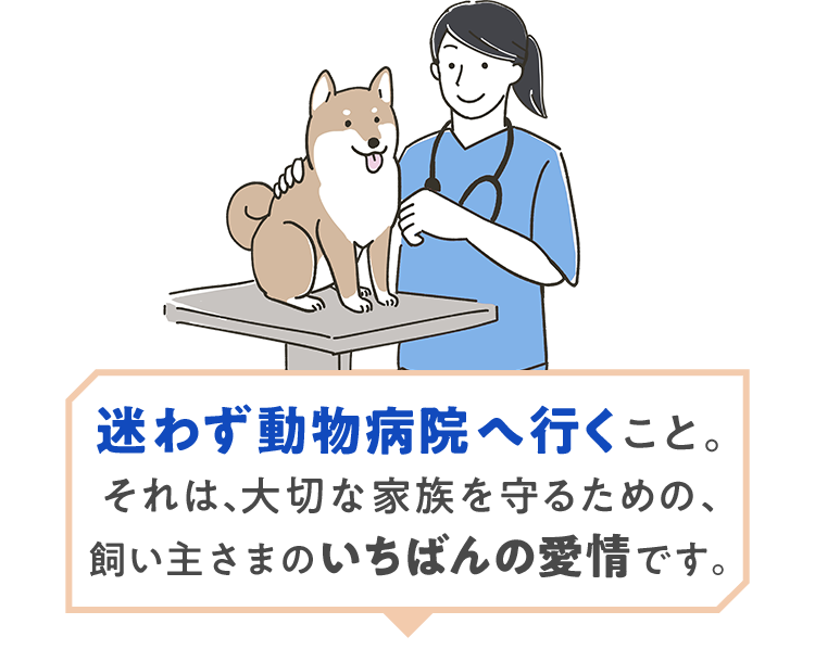 迷わず動物病院へ行くこと。それは、大切な家族を守るための、飼い主さまのいちばんの愛情です。
