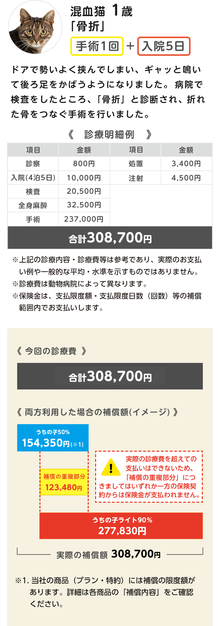 混血猫1歳「骨折」の診療費の支払いイメージ