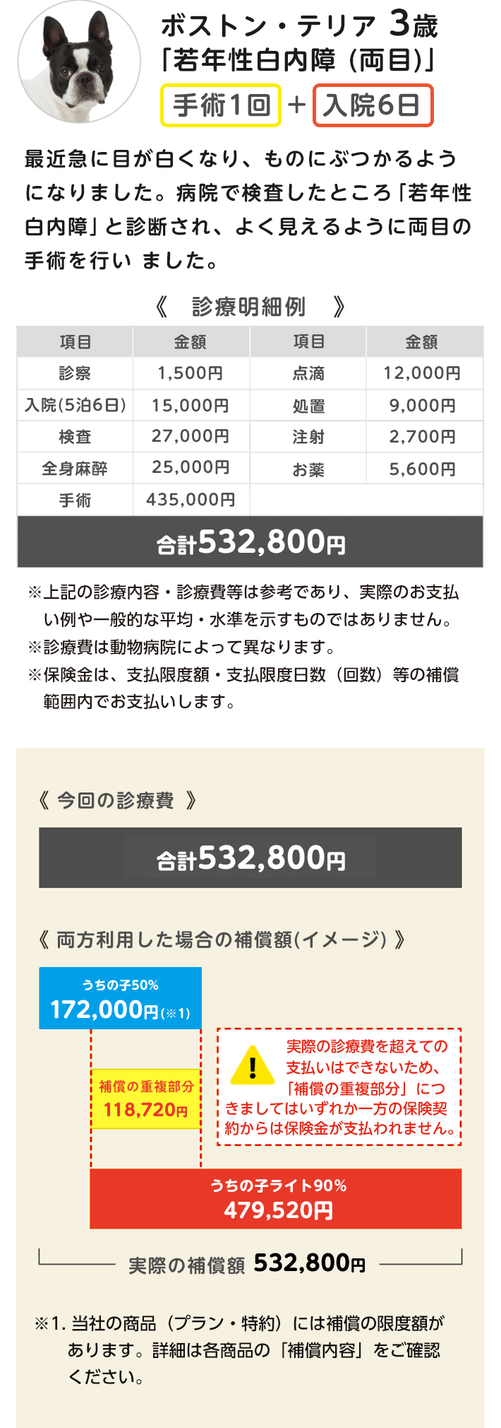 ボストン・テリア3歳「若年性白内障（両目）」の診療費の支払いイメージ