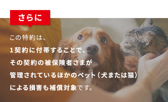 さらにこの特約は、1契約に付帯することで、その契約の被保険者さまが管理されているほかのペット（犬または猫）による損害も補償対象です。