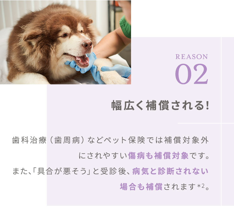 【REASON02：幅広く補償される！】歯科治療（歯周病）などペット保険では補償対象外にされやすい傷病も補償対象です。また、「具合が悪そう」と受診後、病気と診断されない場合も補償されます＊2。