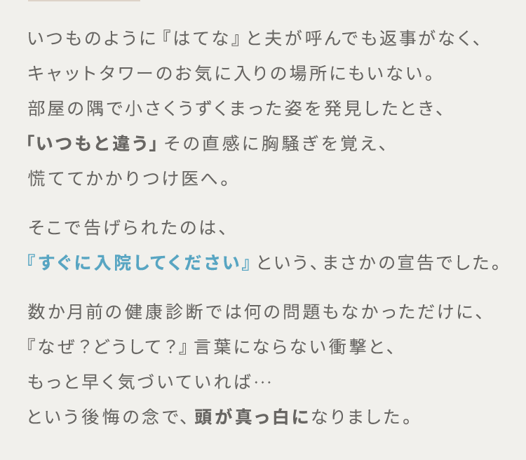 いつものように『はてな』と夫が呼んでも返事がなく、キャットタワーのお気に入りの場所にもいない。部屋の隅で小さくうずくまった姿を発見したとき、「いつもと違う」その直感に胸騒ぎを覚え、慌ててかかりつけ医へ。そこで告げられたのは、『すぐに入院してください』という、まさかの宣告でした。数か月前の健康診断では何の問題もなかっただけに、『なぜ？どうして？』言葉にならない衝撃と、もっと早く気づいていれば…という後悔の念で、頭が真っ白になりました。