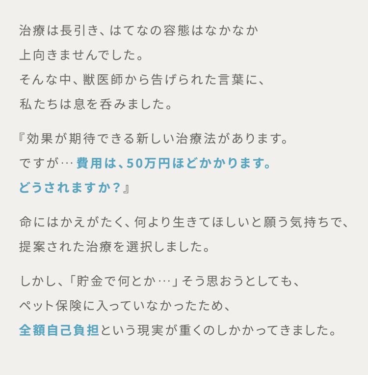 治療は長引き、はてなの容態はなかなか上向きませんでした。そんな中、獣医師から告げられた言葉に、私たちは息を呑みました。 『効果が期待できる新しい治療法があります。ですが…費用は、50万円ほどかかります。どうされますか？』命にはかえがたく、何より生きてほしいと願う気持ちで、提案された治療を選択しました。しかし、「貯金で何とか…」そう思おうとしても、ペット保険に入っていなかったため、全額自己負担という現実が重くのしかかってきました。