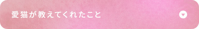 愛猫が教えてくれたこと