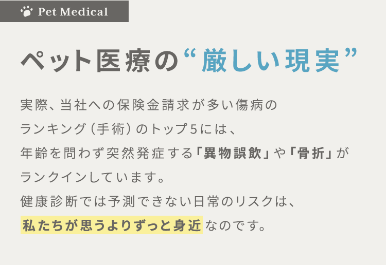 【ペット医療の“厳しい現実”】実際、当社への保険金請求が多い傷病のランキング（手術）のトップ5には、年齢を問わず突然発症する「異物誤飲」や「骨折」がランクインしています。健康診断では予測できない日常のリスクは、私たちが思うよりずっと身近なのです。