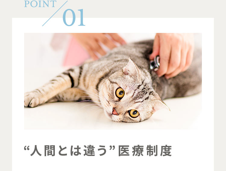 POINT01：“人間とは違う”医療制度