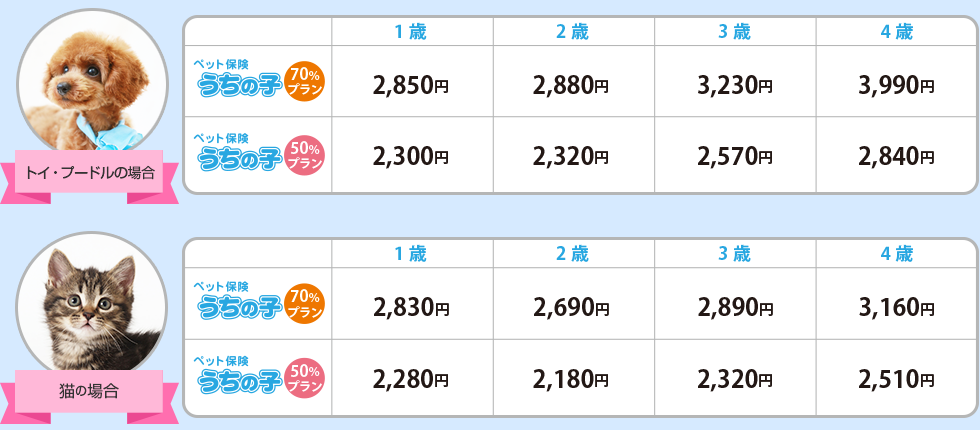 保険料表