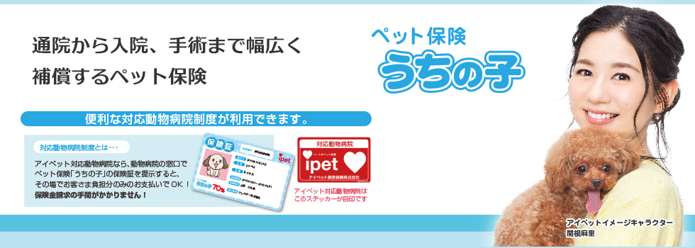 通院から入院、手術まで幅広く補償するペット保険「うちの子」