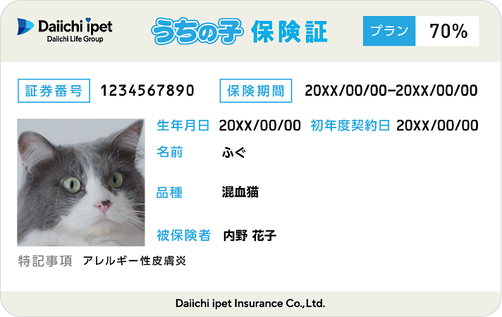 猫の保険証イメージ