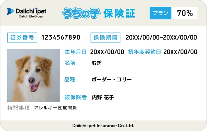犬の保険証イメージ