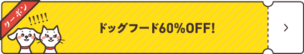 ドッグフード60%OFF!