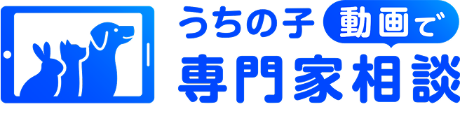 うちの子動画で専門家相談