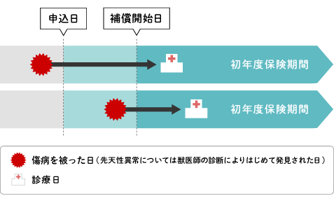 保険金をお支払いできない主な場合