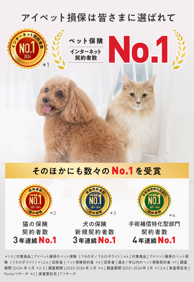 数々のNO.1を受賞