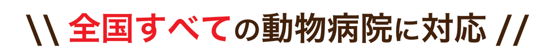 全国すべての動物病院に対応